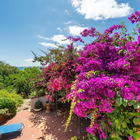 Vakantiehuis Ondina T Carloforte (Isola di San Pietro)