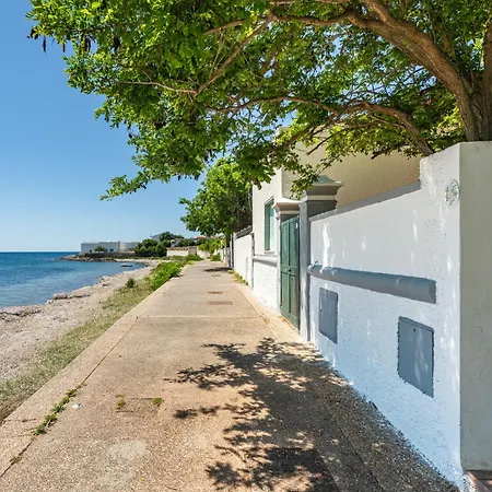 Ondina T * Carloforte (Isola di San Pietro)