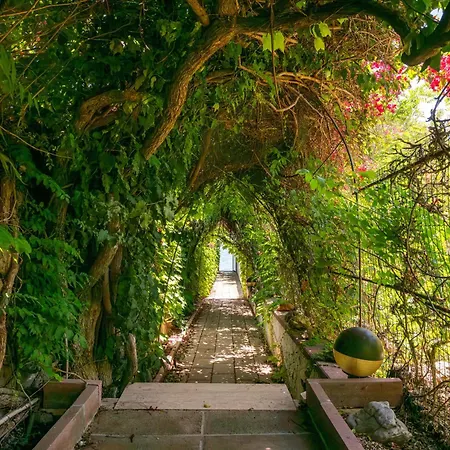 Ondina T Casa de Férias Carloforte (Isola di San Pietro)